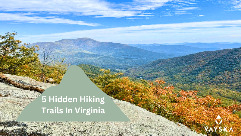 Hidden Virginia: 5 Hiking Trails That Only Locals Know About